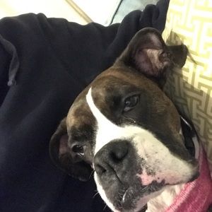 Meet your Posher, Clinton